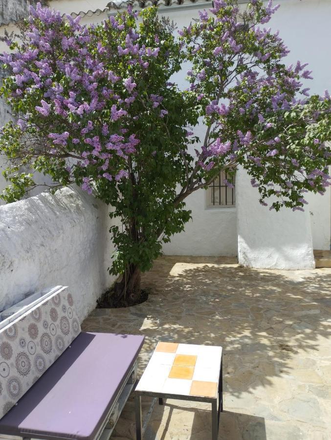 Casa Bejar, Tranquila Casa Con Chimenea, Patios, Junto A La Piscina Canete la Real Exterior foto
